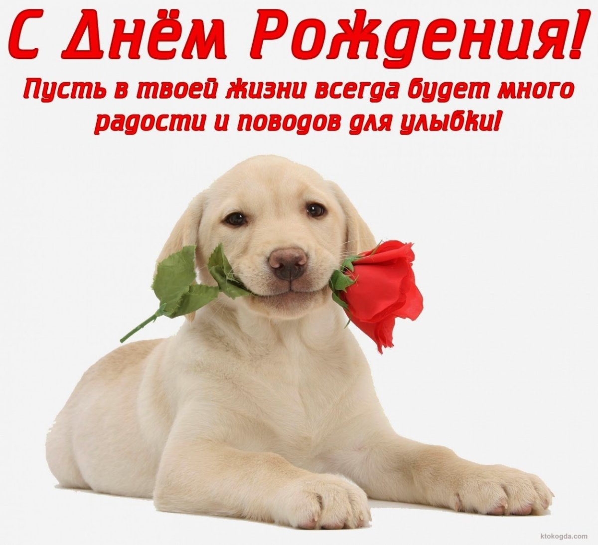 Поздравления с днём рождения Геннадия