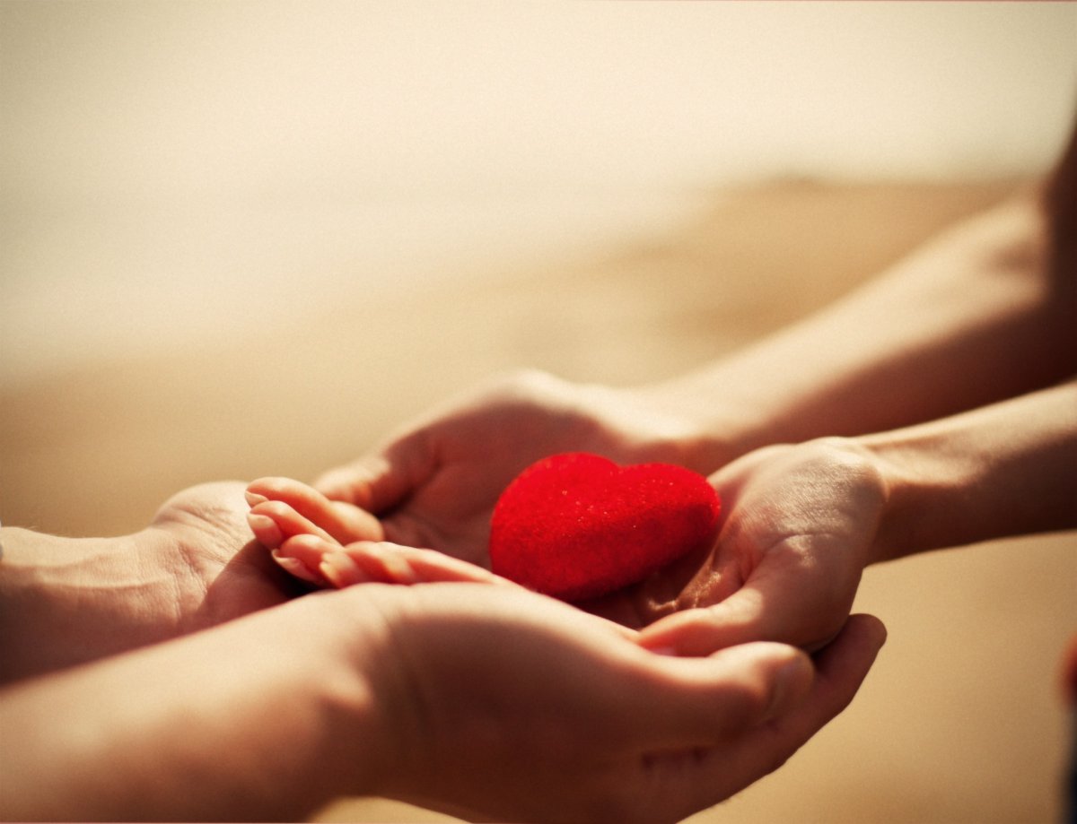 Дарю сердце