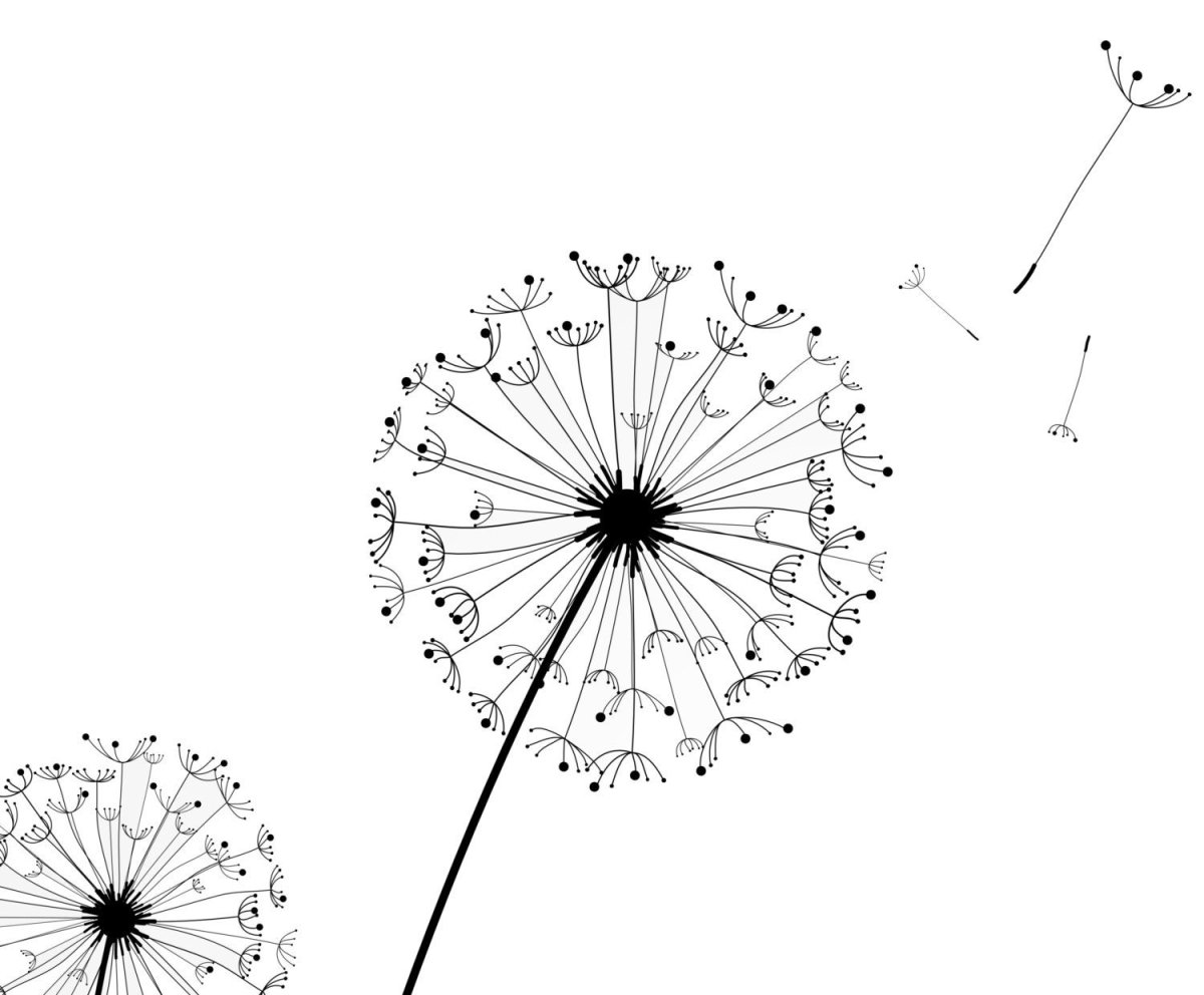 Одуванчик рисунок