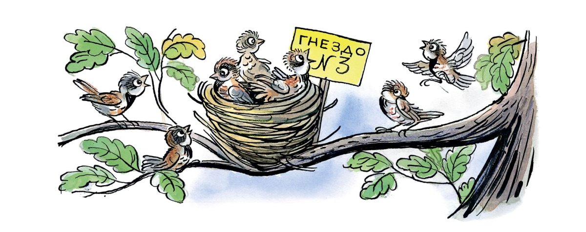 Сутеев мешок яблок книга