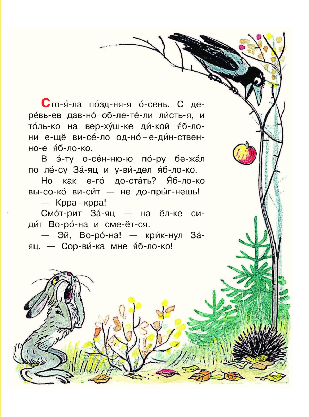 Живые грибы Сутеев