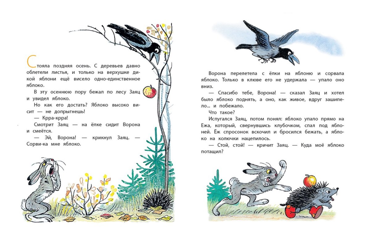 Владимир Сутеев мешок яблок