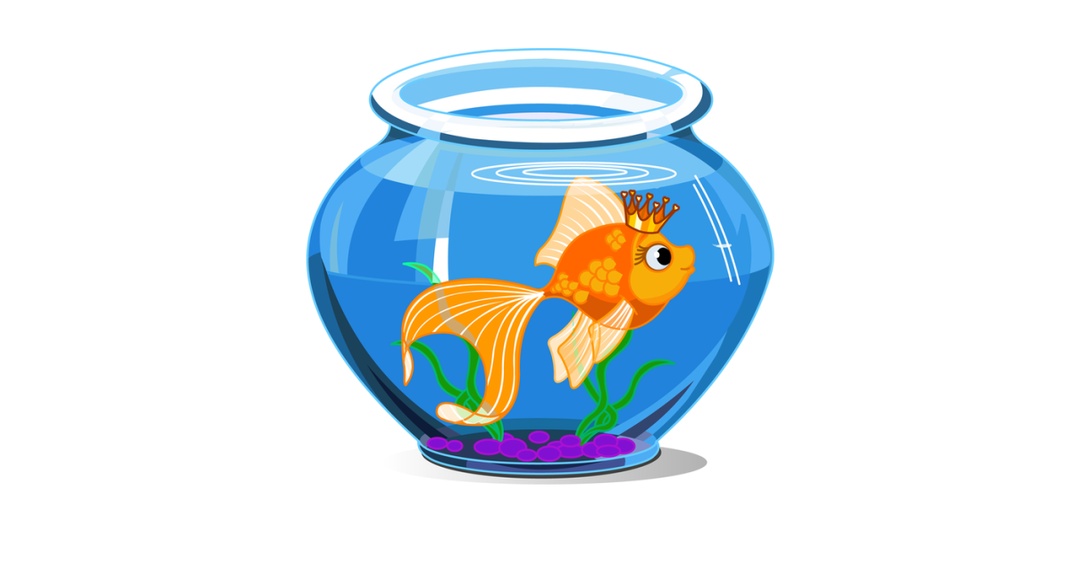 Нарисовать золотую рыбку в аквариуме