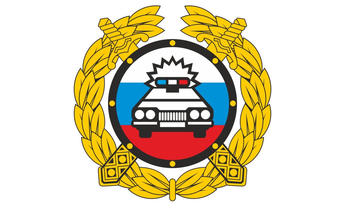 Нагрудный знак ДПС милиция
