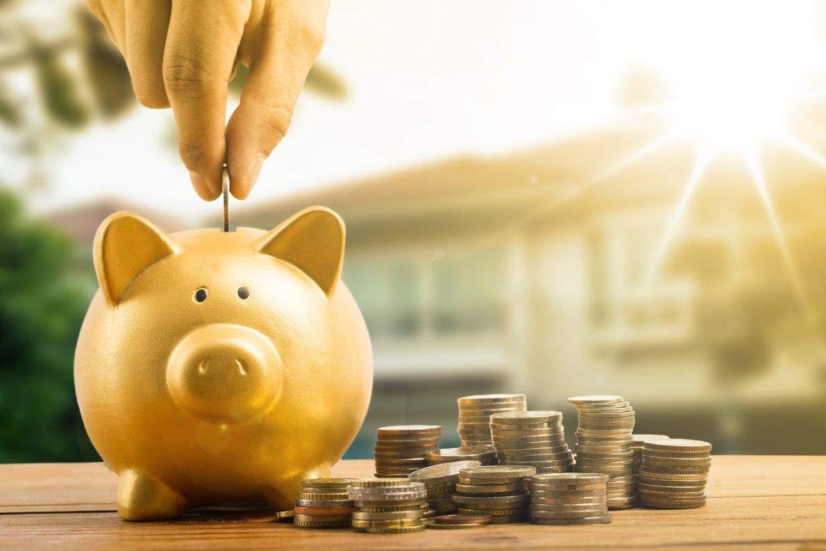 Свинья копилка сбор денег