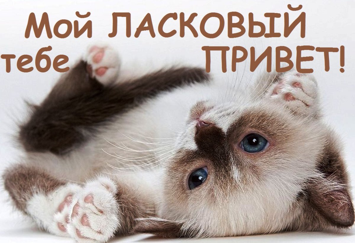 Открытка обнимаю