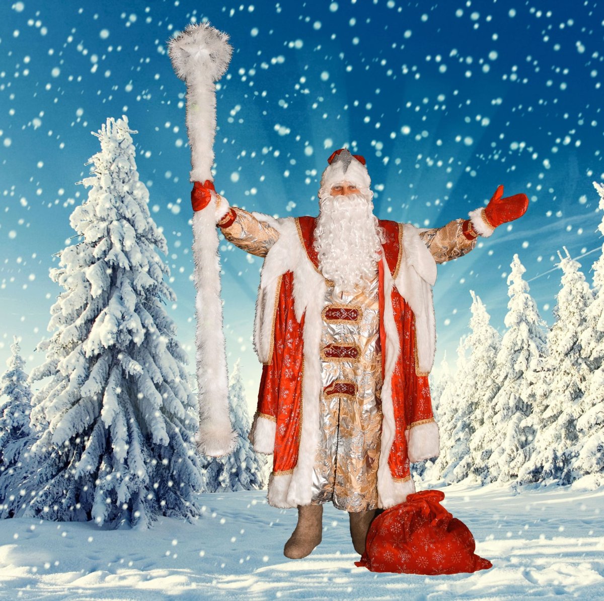 Дед Мороз "сказочный"
