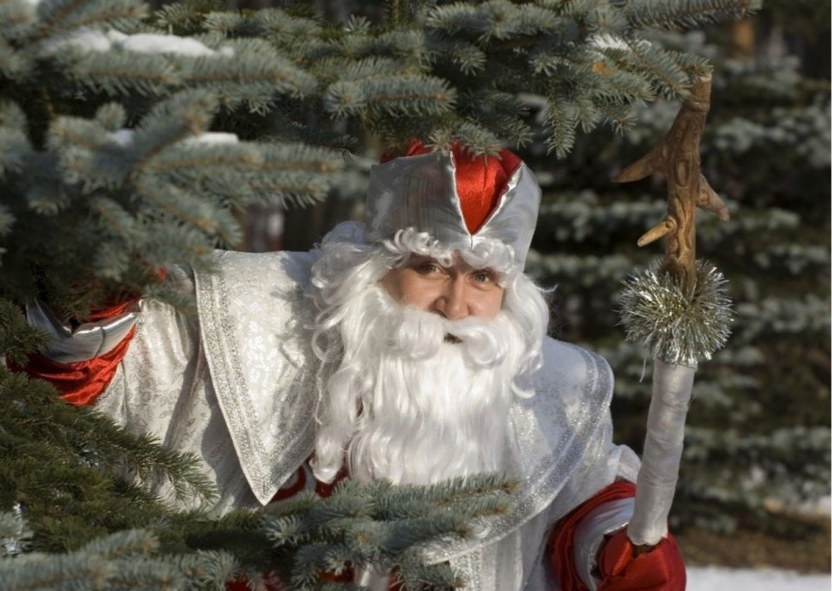 Дед Мороз и снегурка в лесу