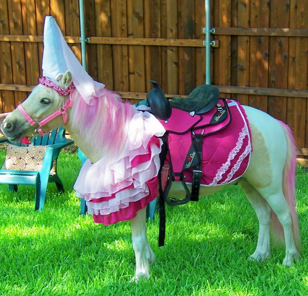 Наряд для лошади