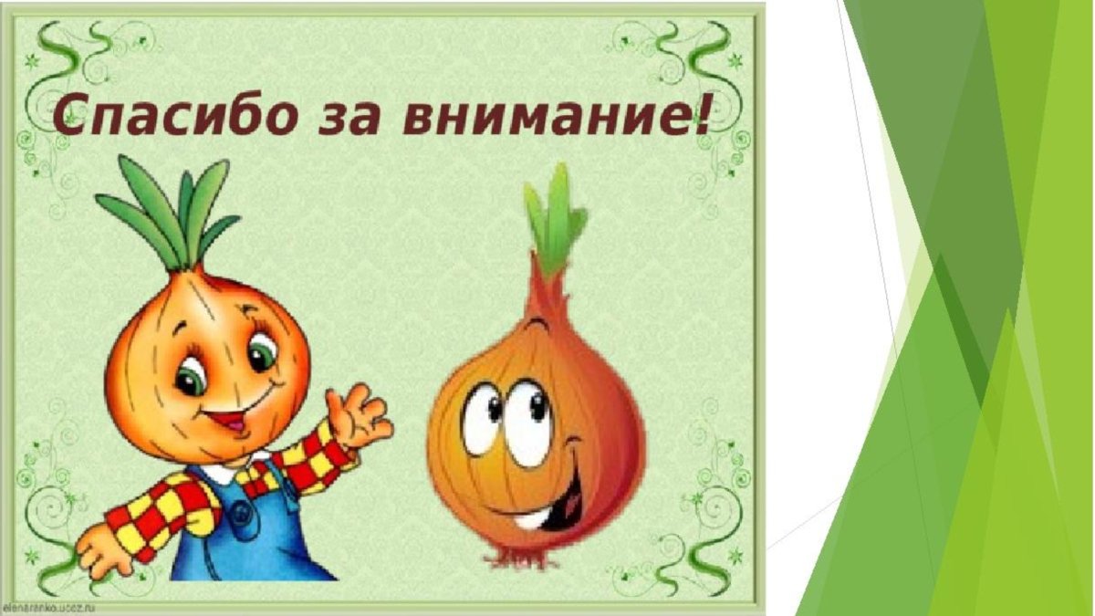 Презентация про лук для дошкольников