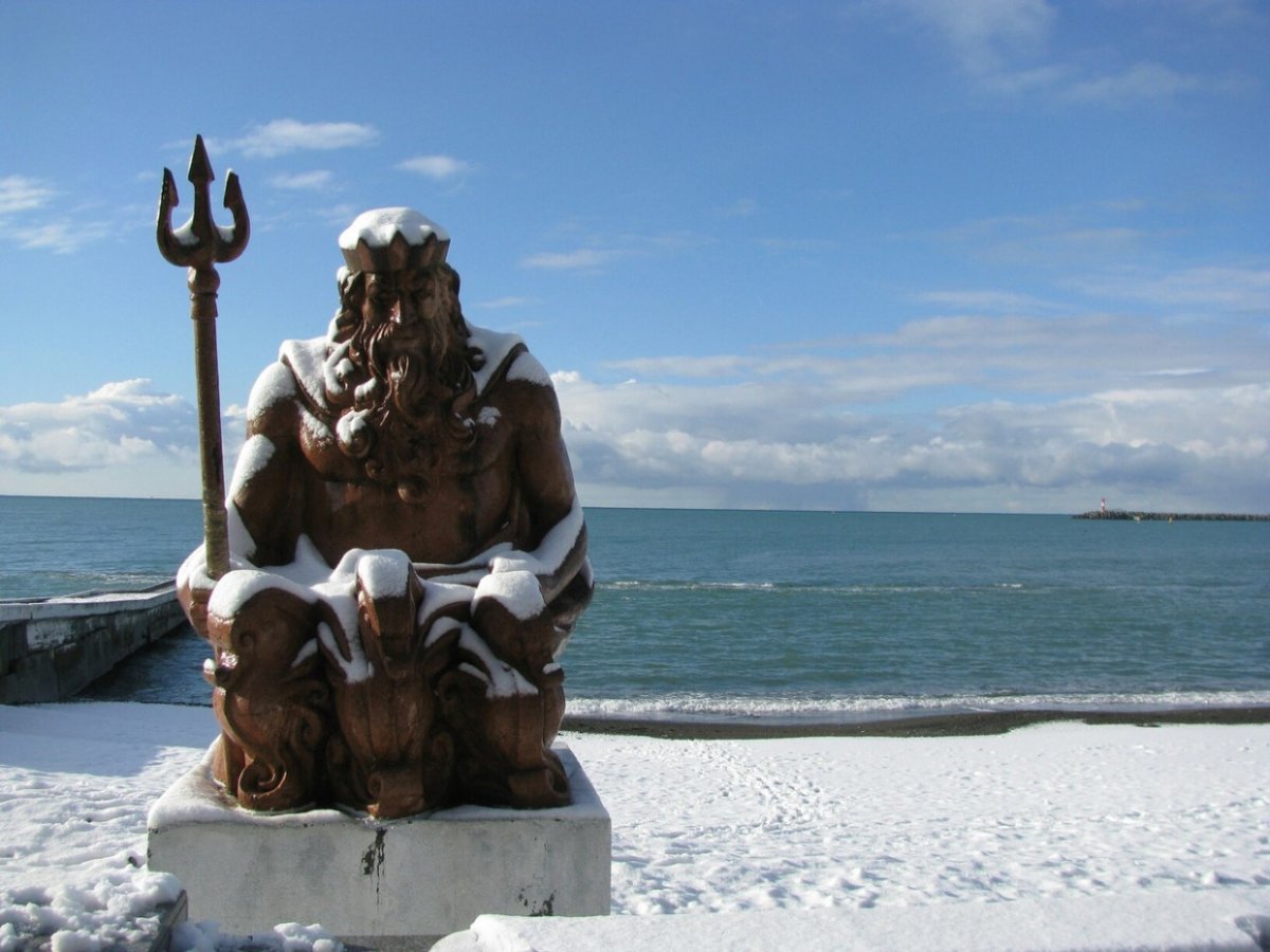 Я В Сочи картинки прикольные