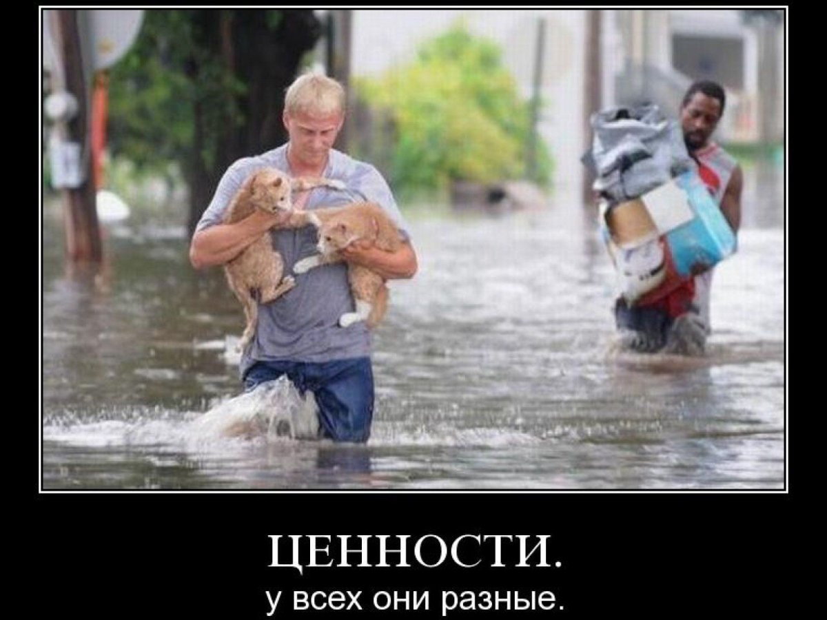 У каждого свои ценности