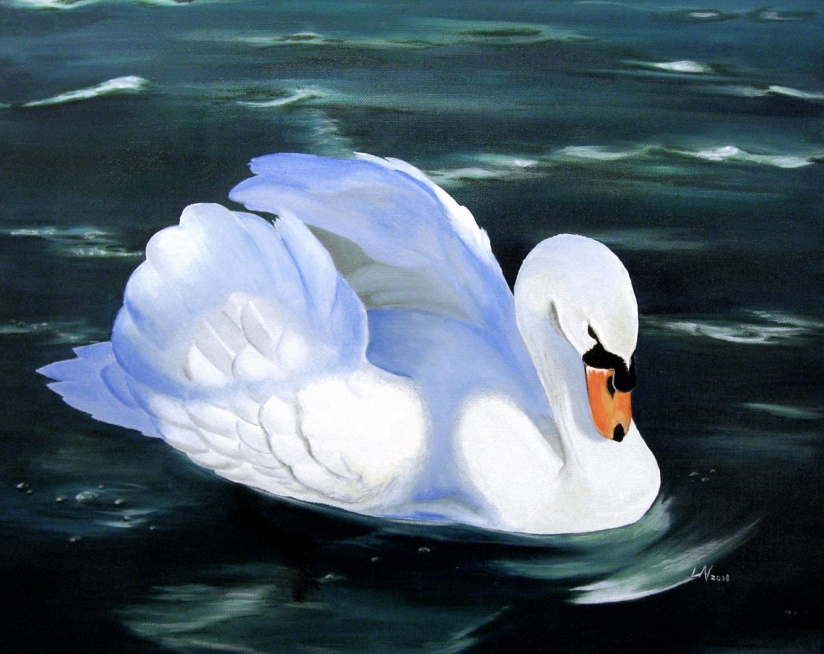 Лебедь рисунок