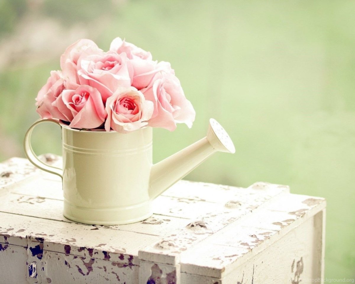 Доброго субботнего дня