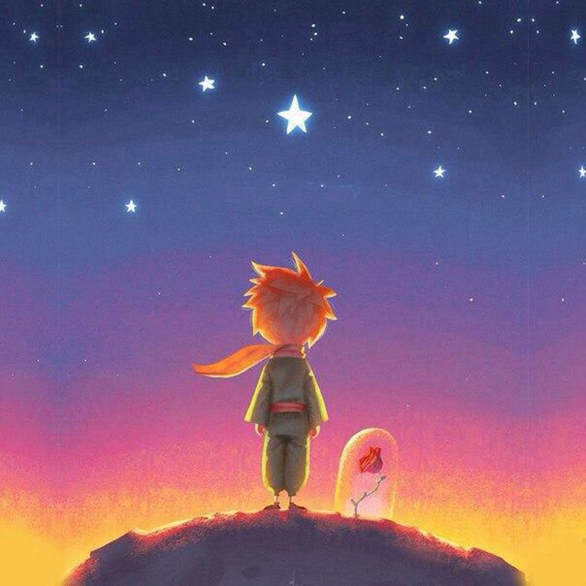 The little Prince and Rose quote