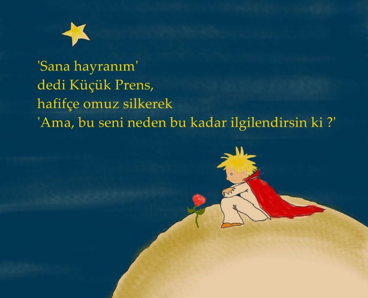 Умные мысли из маленького принца