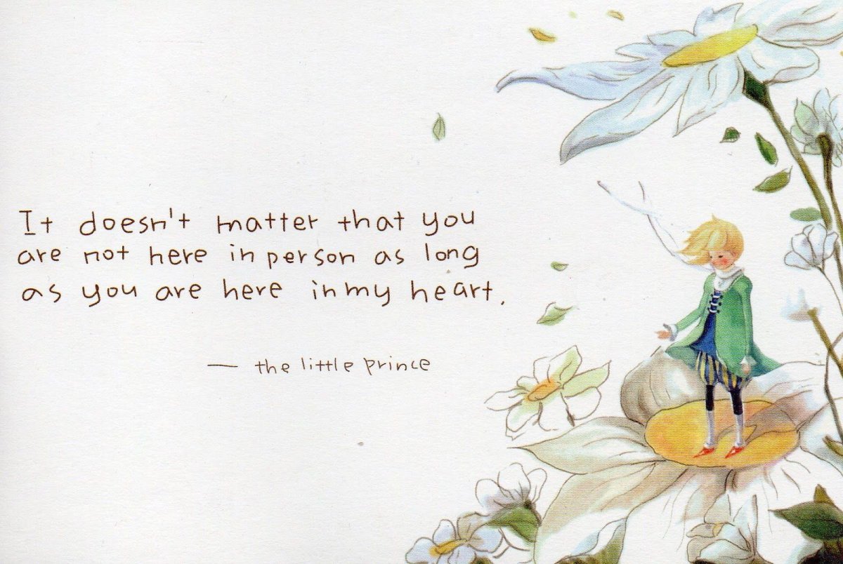 Антуан де сент-Экзюпери маленький принц роза