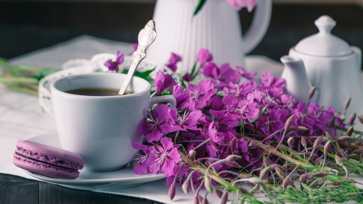 Иван чай травяной