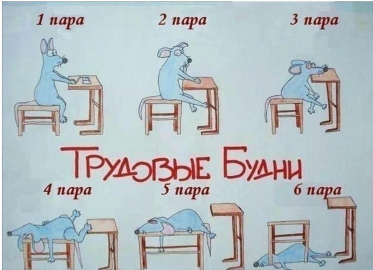 Девушка айтишника
