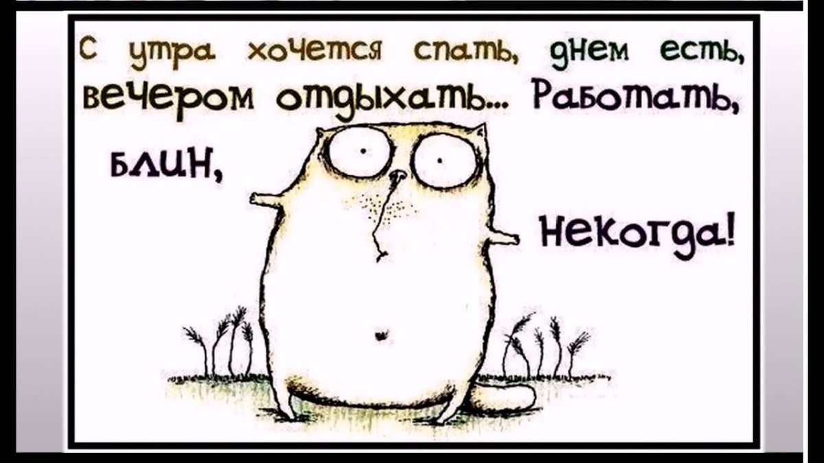 Позитивные картинки с юмором