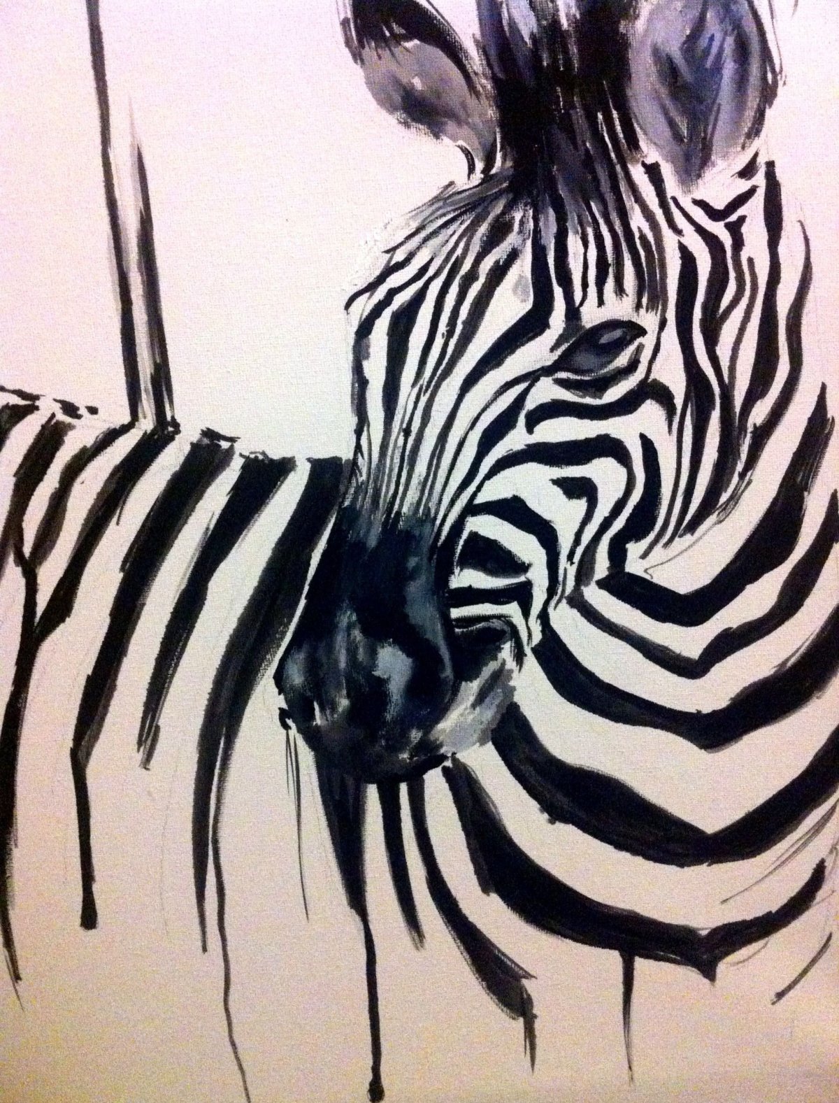 Зебра эскиз
