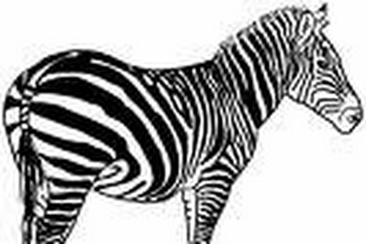 Зебра животное для печати