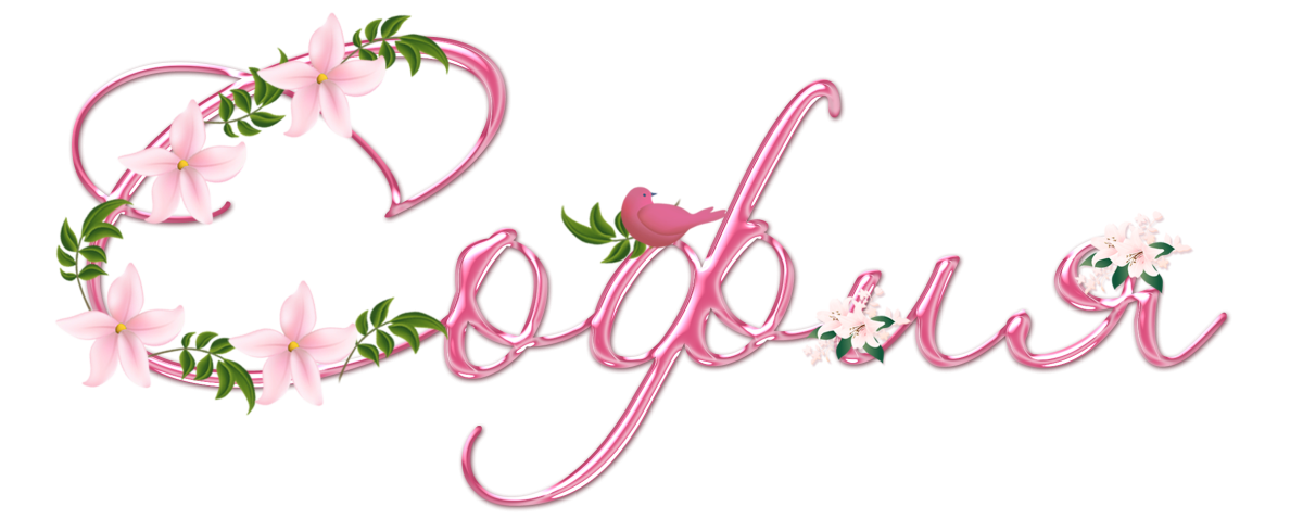 Красивая надпись с днем рождения София