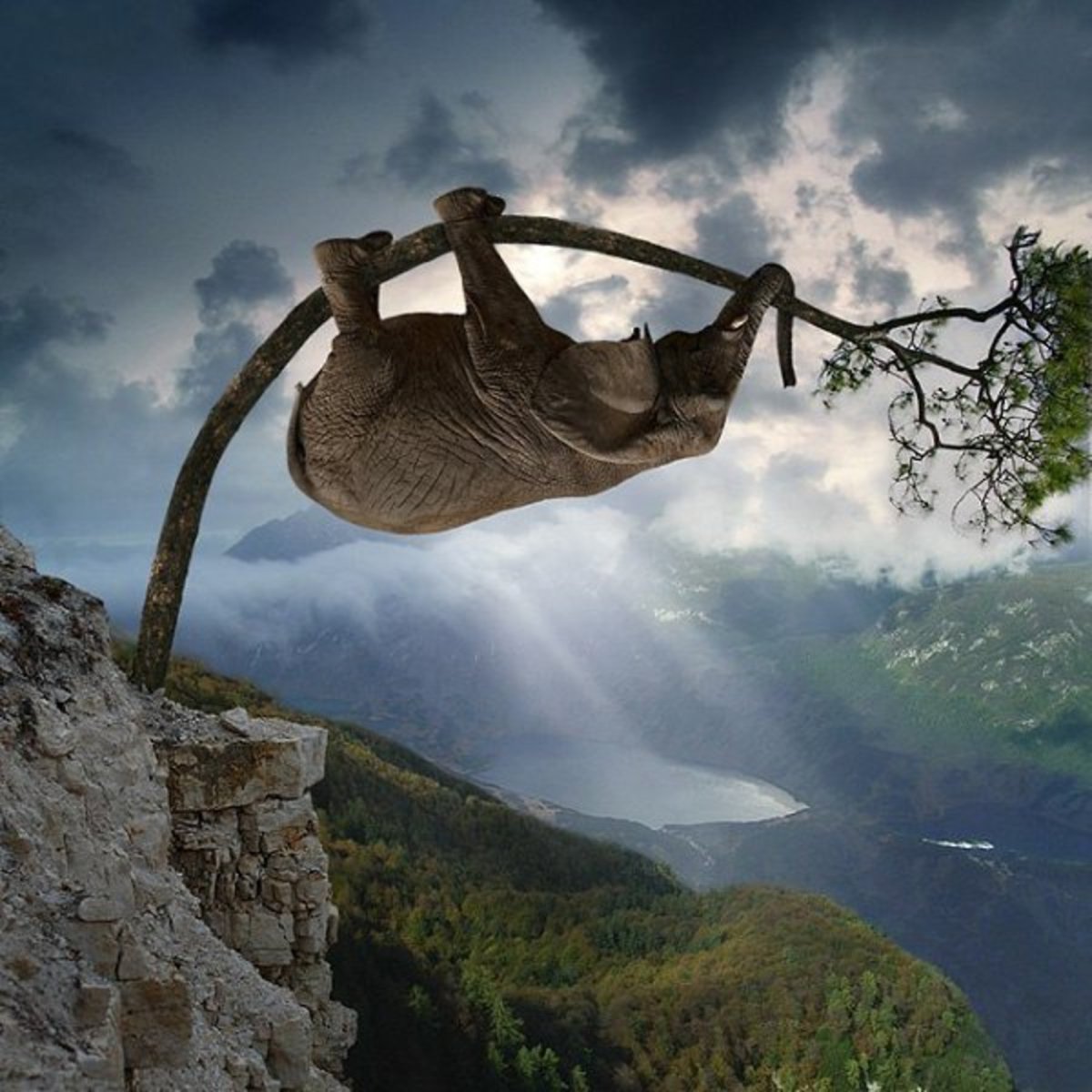 Позитивные высказывания