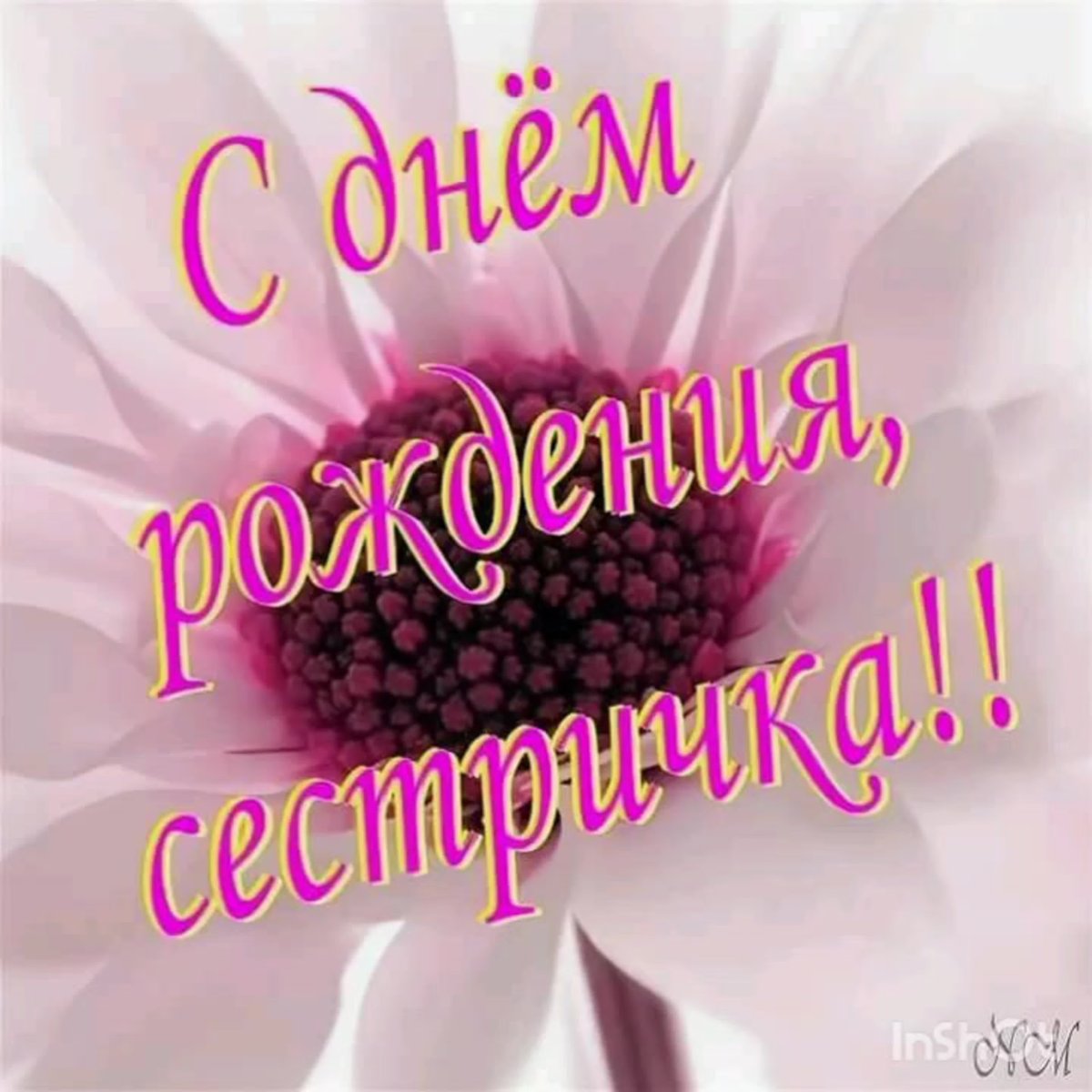 Поздравления с днём рождения Анастасии