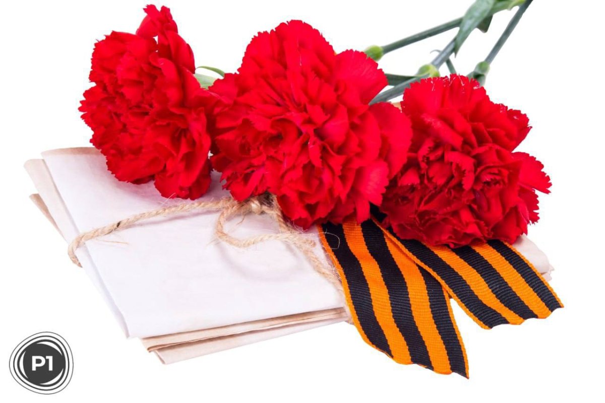 Красные гвоздики с лентой