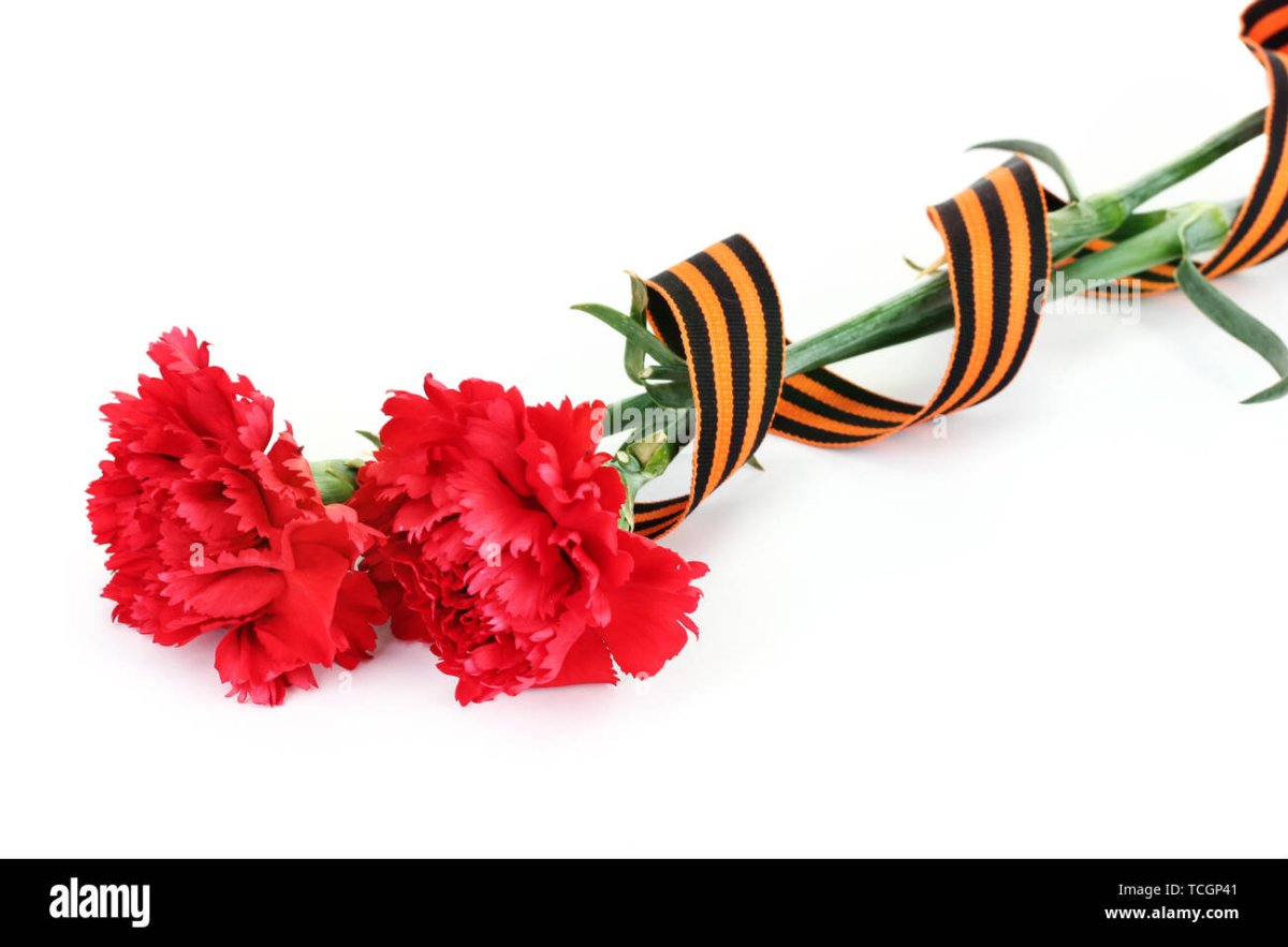 Георгиевская лента с гвоздикой и звездой