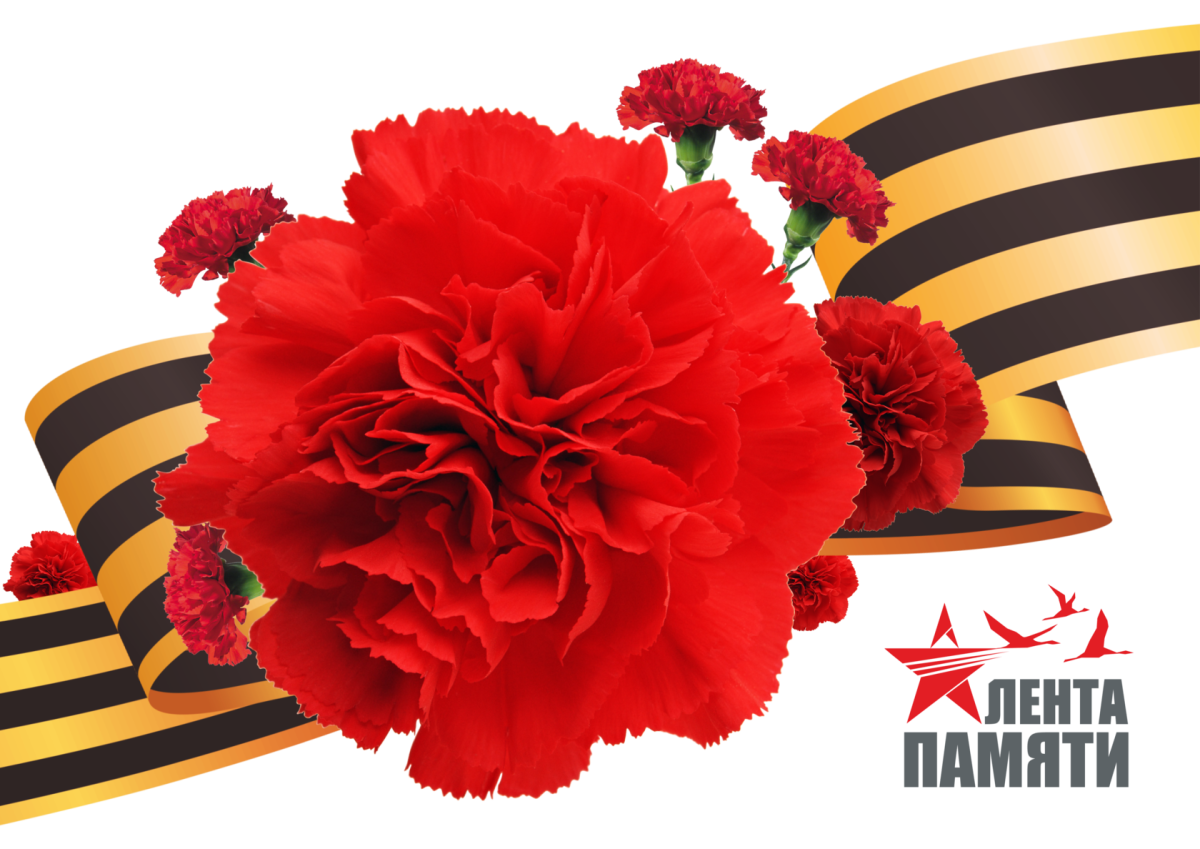 Георгиевская лента с гвоздикой