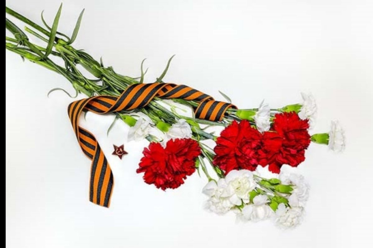 Георгиевская лента с гвоздикой