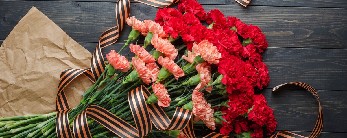 Георгиевская лента с гвоздикой