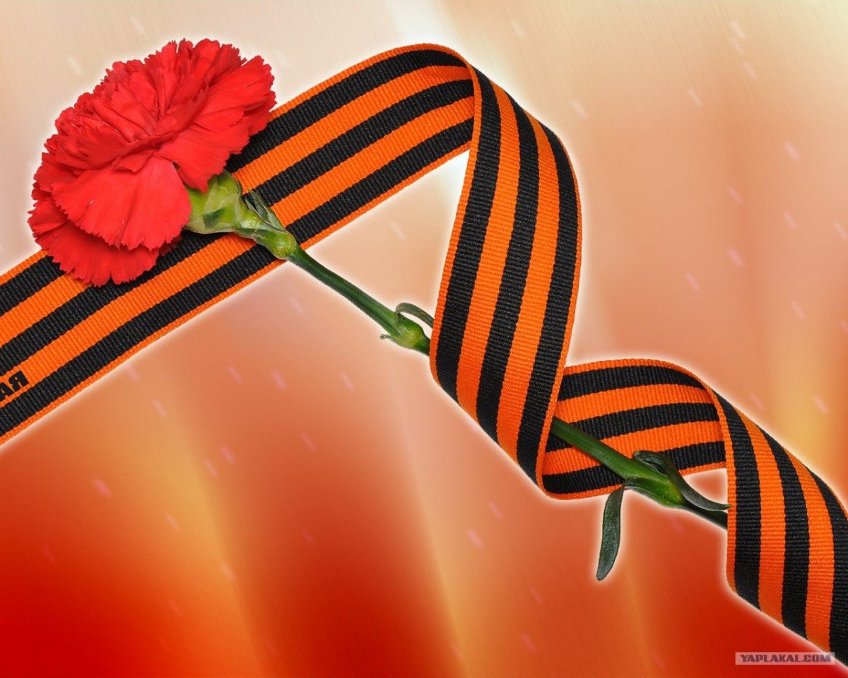 Великая Отечественная война Георгиевская лента