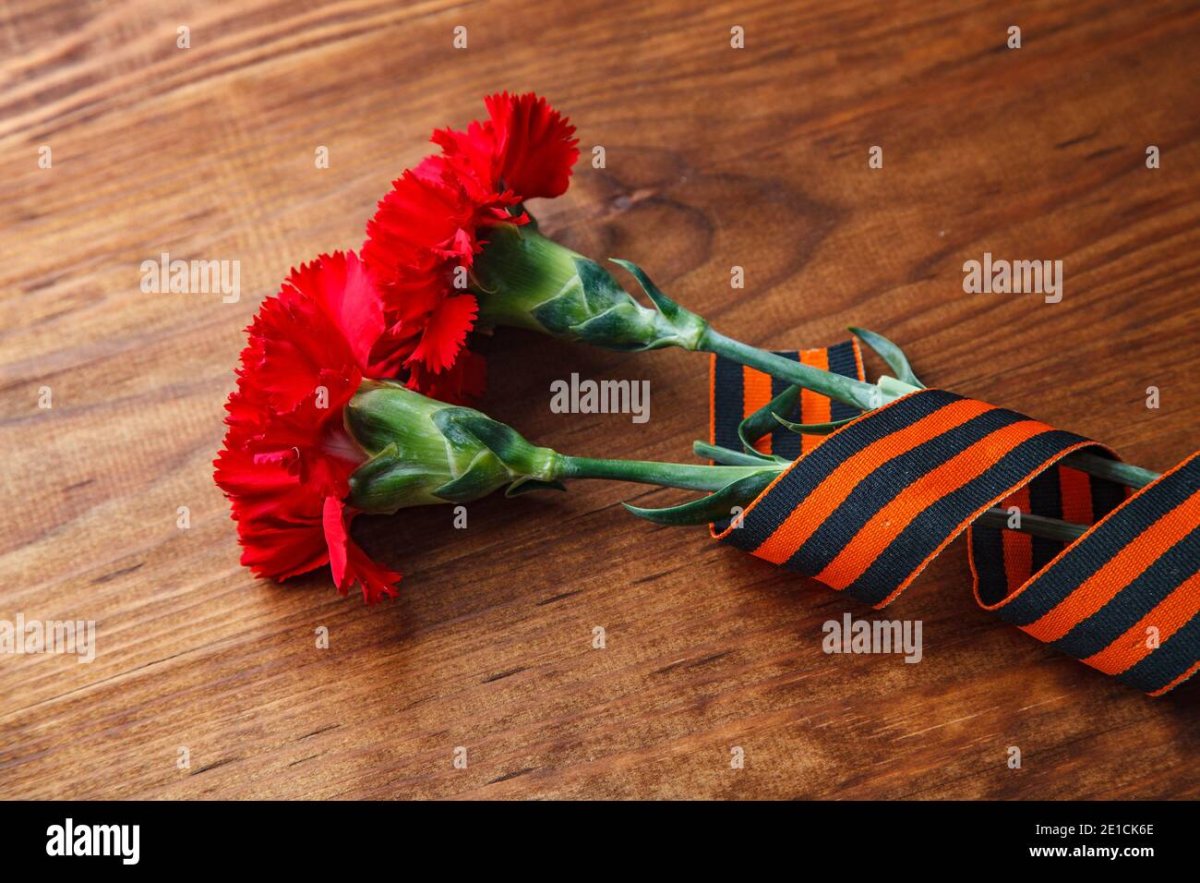 Гвоздики перевязанные лентой