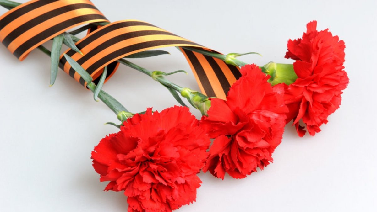 Гвоздики с георгиевской лентой