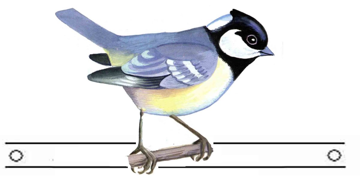 Маски птиц для детского сада