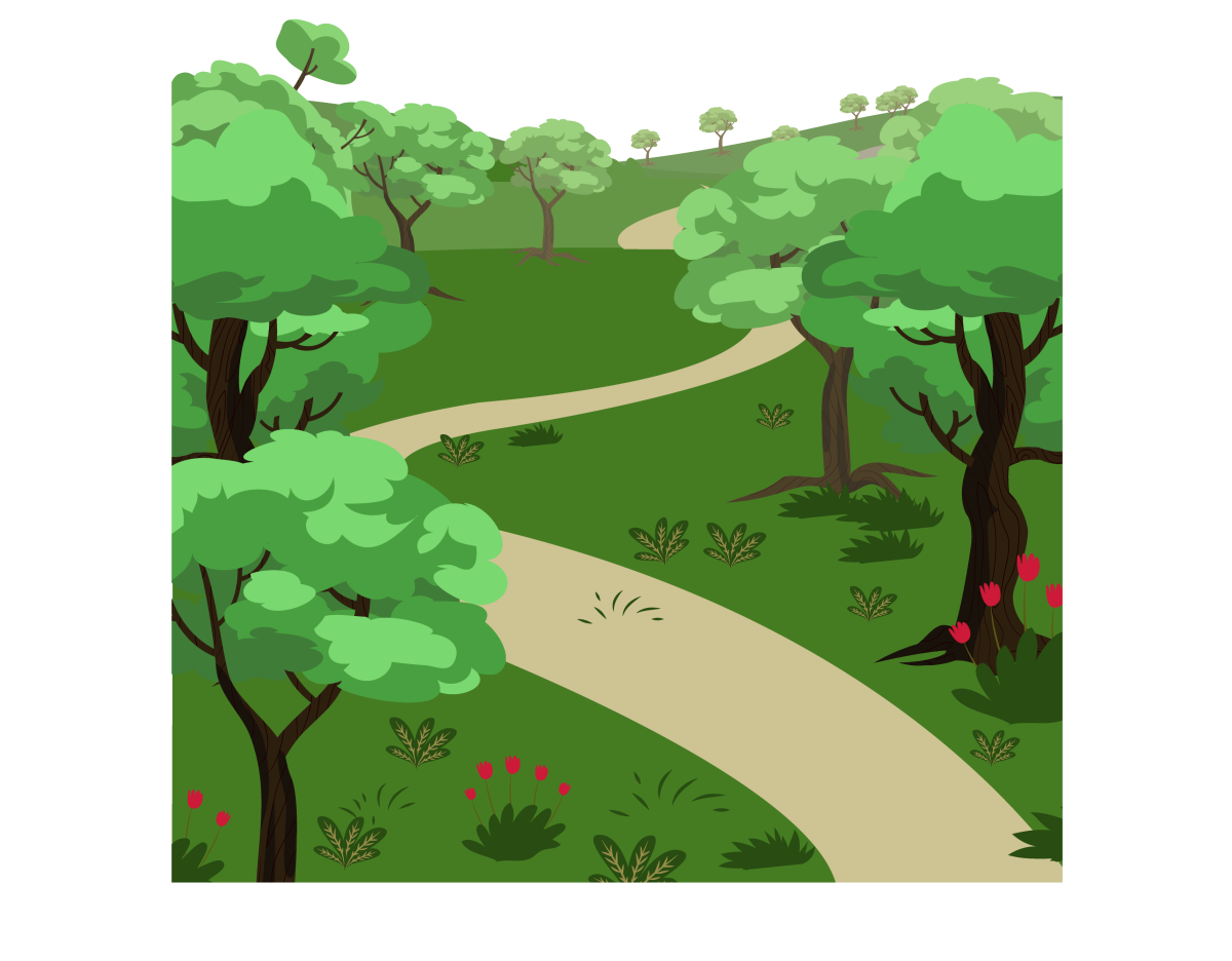 Тропинка в лесу для детей