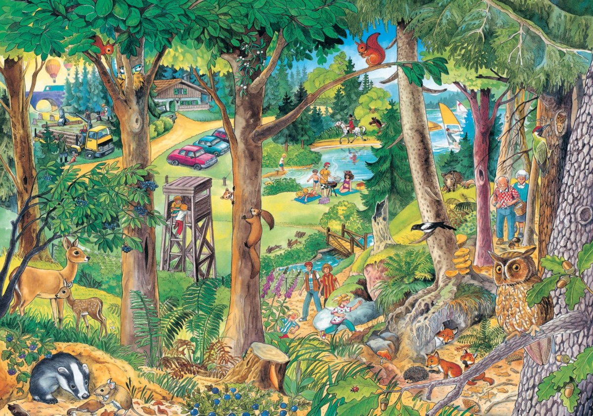 Виммельбух. Жизнь животных