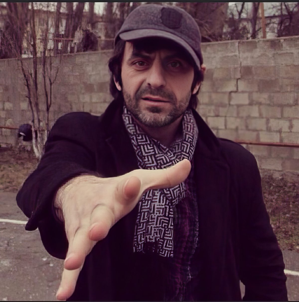 Азербайджанский котик