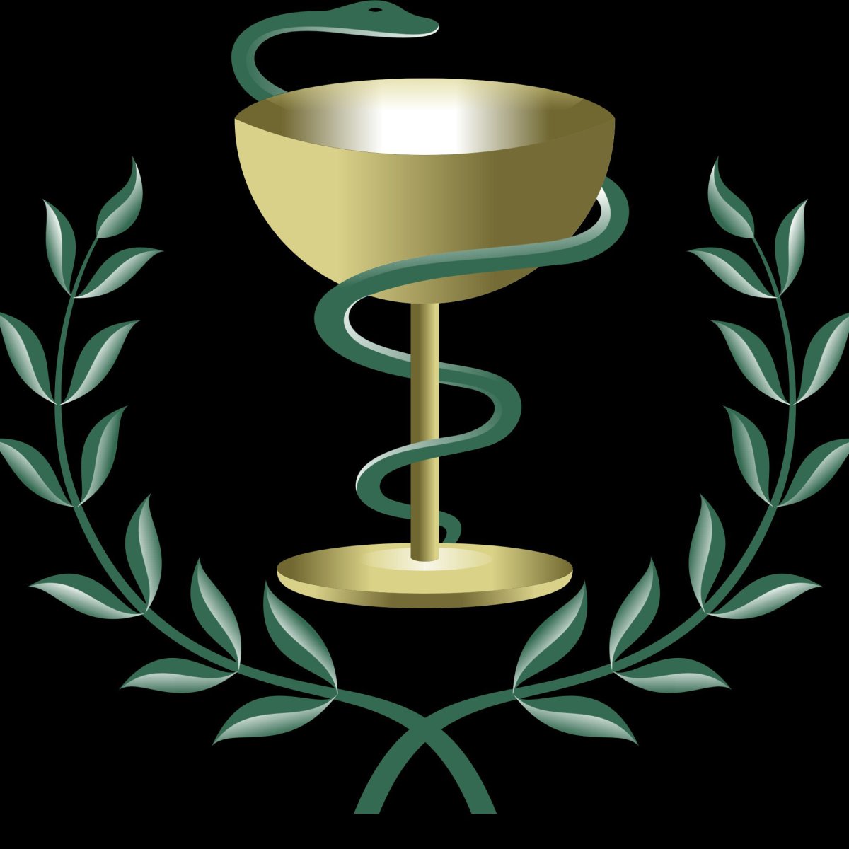 Эскулапова змея символ медицины