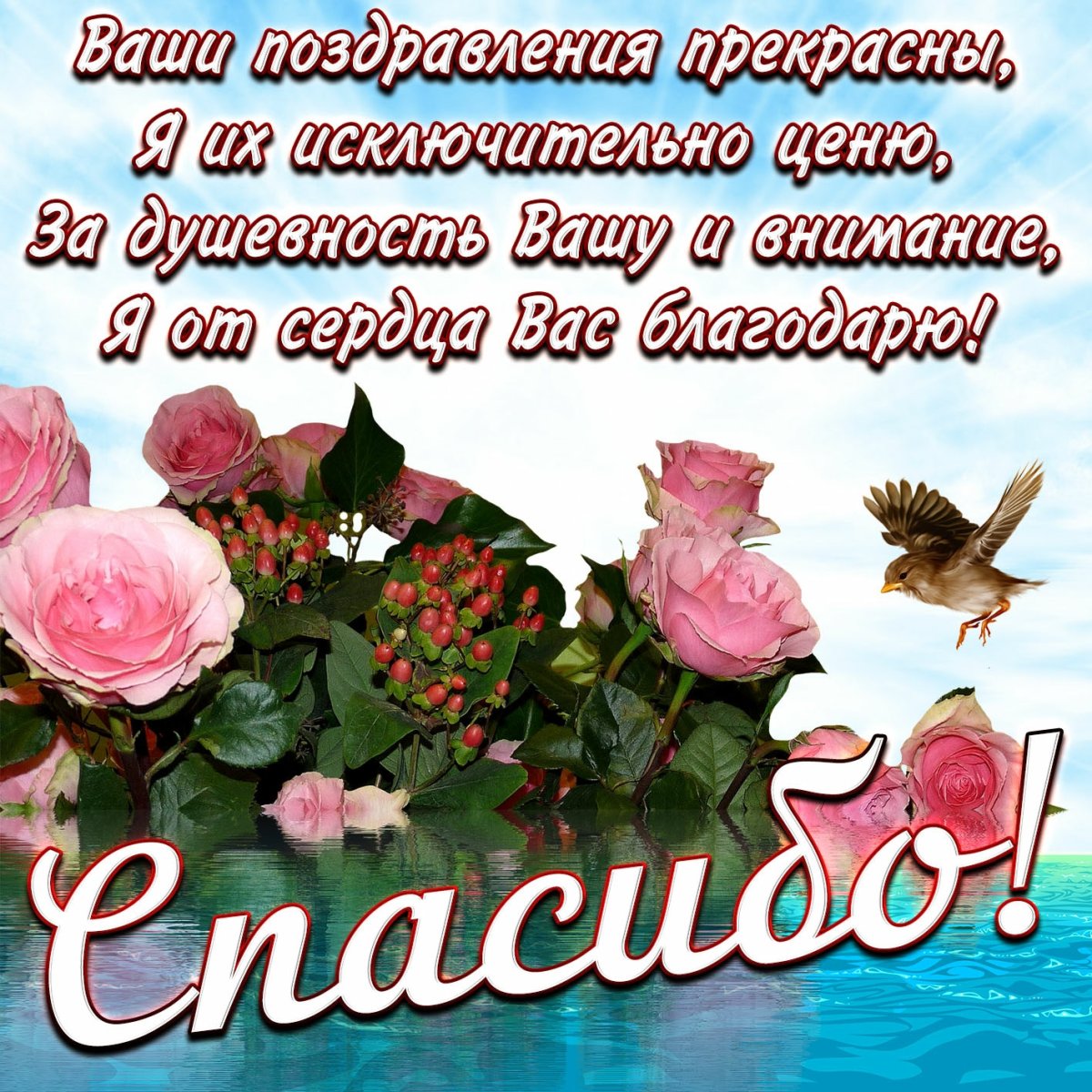 Поздравление надежде