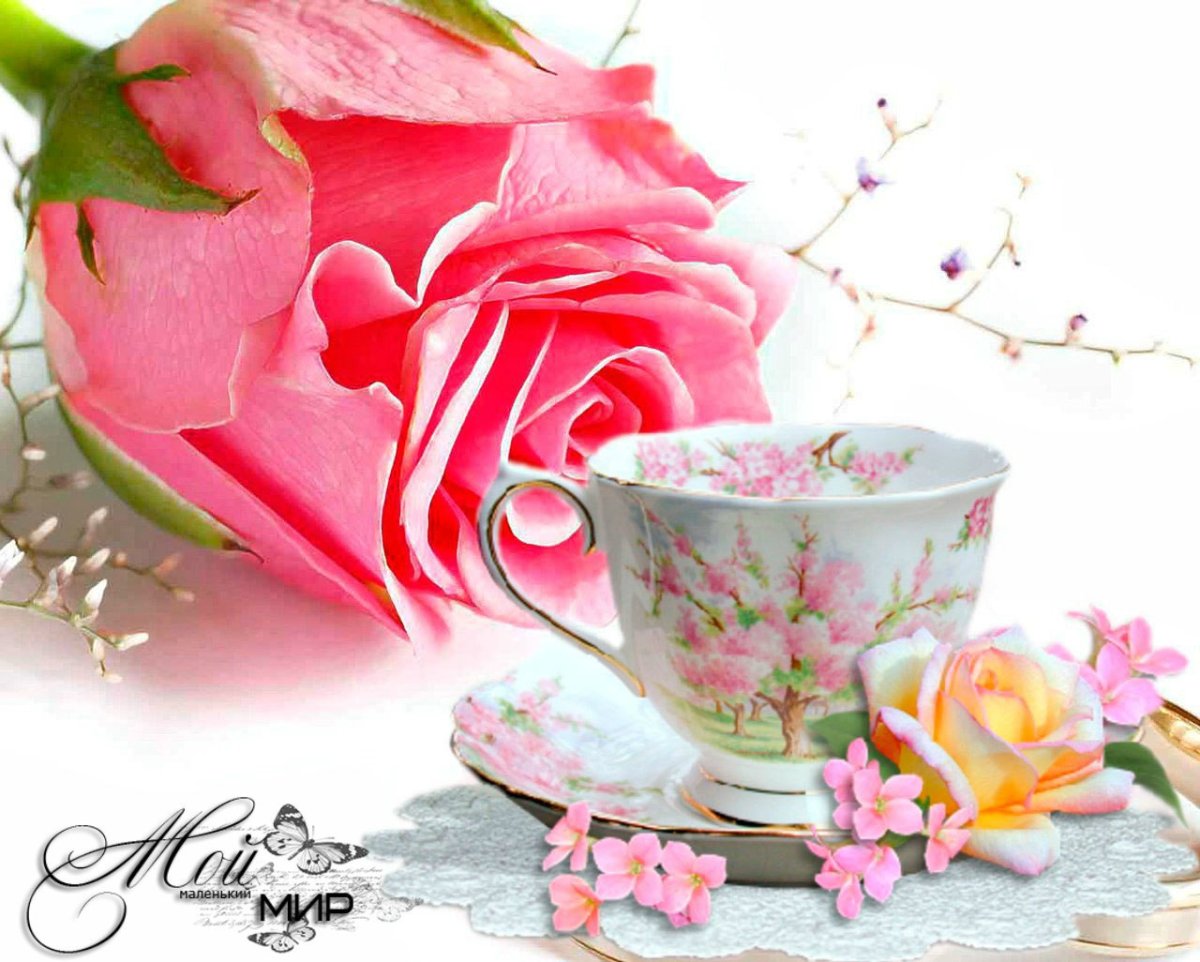 Доброе утро прекрасного дня