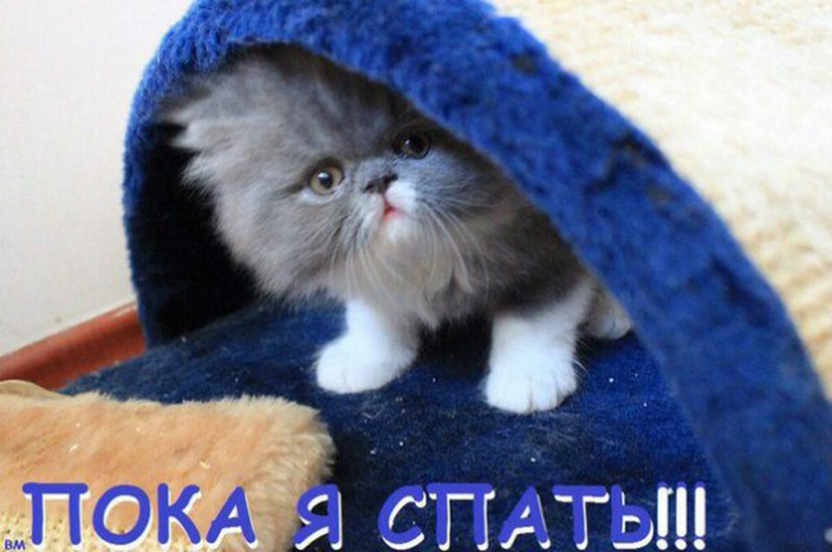 Открытки пока пока