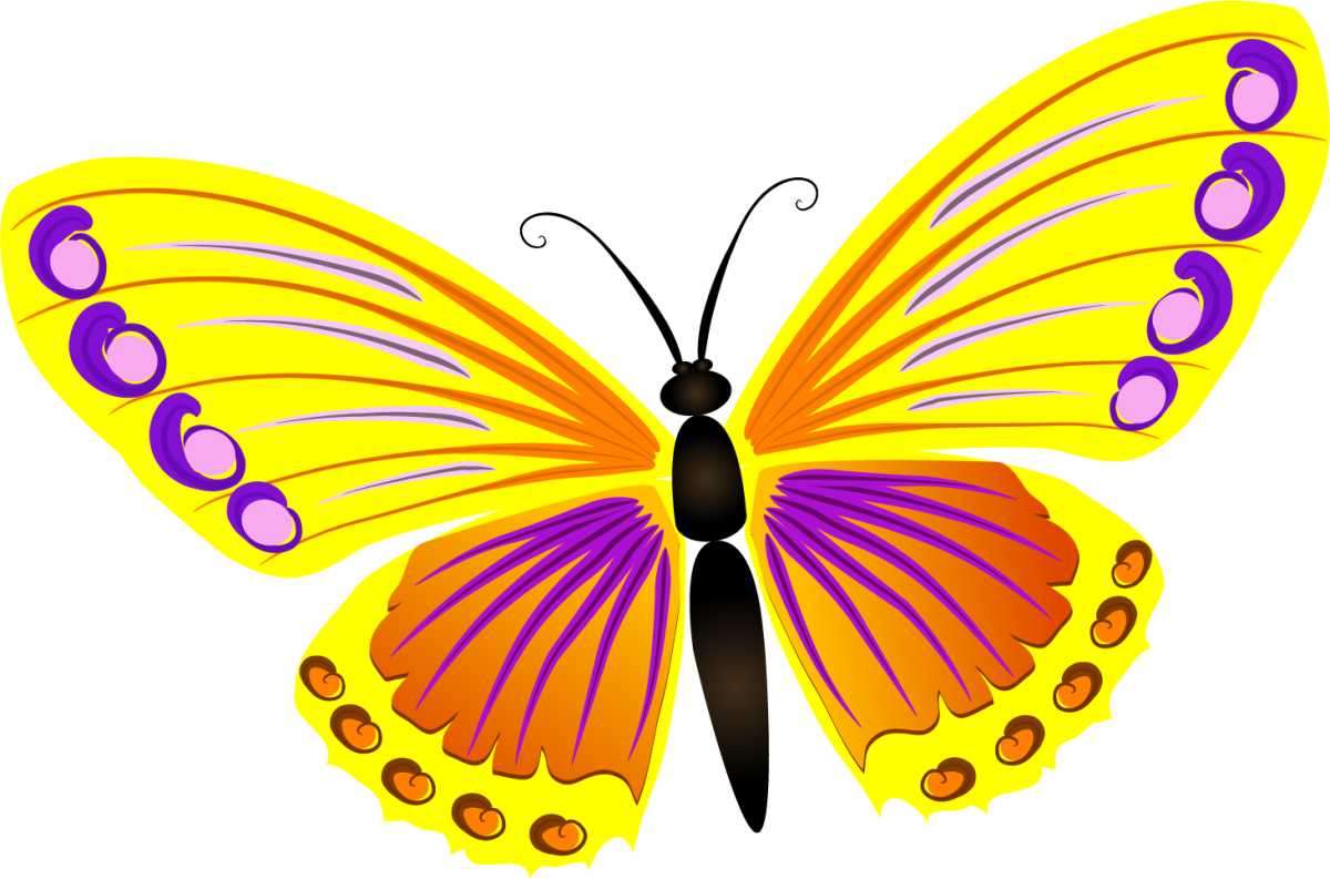 Бабочки мультяшные