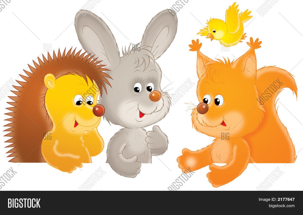 Пол Стюарт кусочек зимы