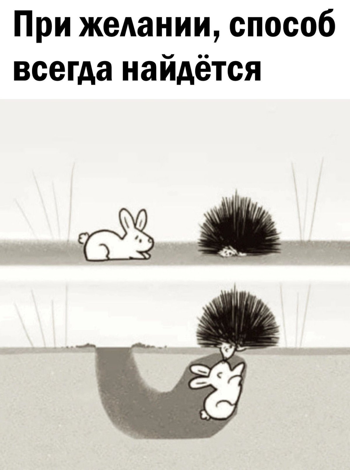 Задумчивый Ежик