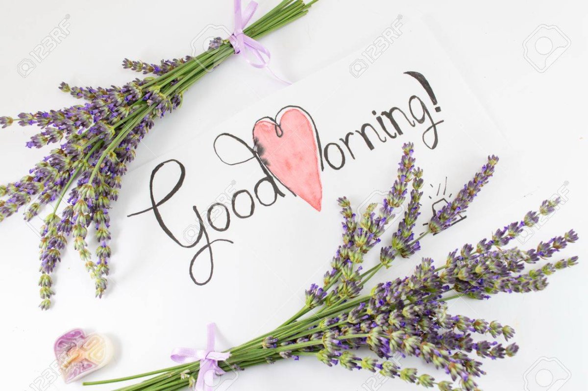 Чаепитие в стиле Прованс