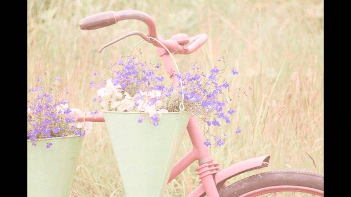 Цветы в сиреневых тонах